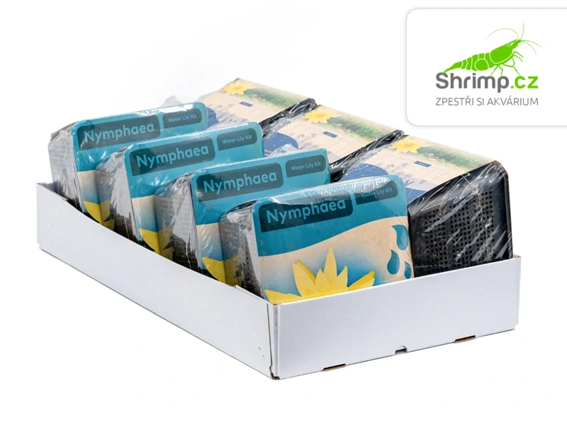 Nymphaea 'Chromatella' – blistr 18 cm