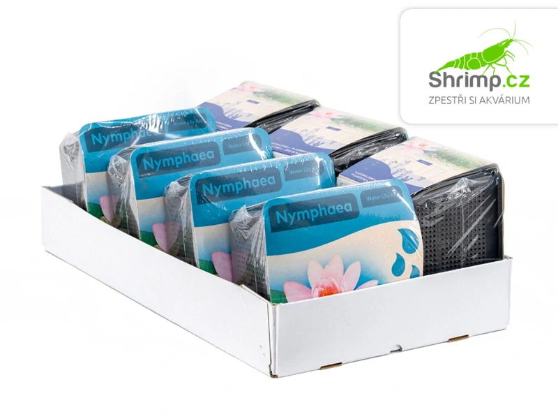 Nymphaea ‘Marliacea Carnea’ – blistr 18 cm