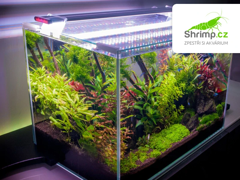 Sinkor LED II 30 cm WRB 10W s Wifi LED Control