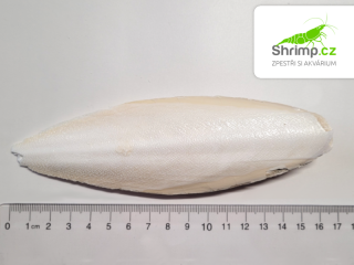 Sépiová kost 15 cm 1 ks