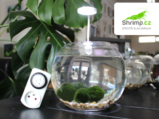 Kompletní set řasokoule velký 3,8 l