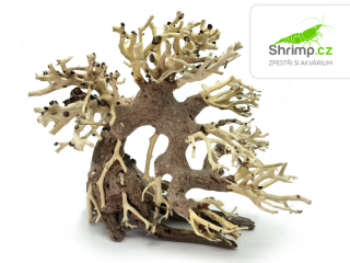 Bonsai Driftwood 20 x 15 x 17 cm (82.)