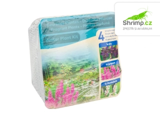 Trio rostlin (Iris, Lythrum, Pontederia) – blistr 18 cm