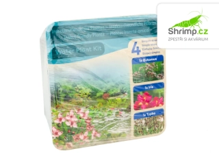 Trio rostlin (Butomus, Iris, Typha) – blistr 18 cm