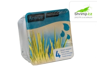 Acorus calamus – blistr 18 cm