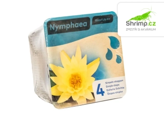 Nymphaea 'Chromatella' – blistr 18 cm