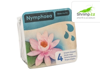 Nymphaea ‘Marliacea Carnea’ – blistr 18 cm
