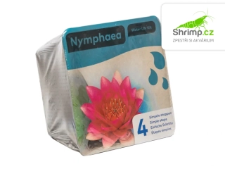 Nymphaea ‘Attraction’ – blistr 18 cm