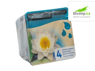 Nymphaea alba – blistr 18 cm