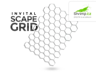 INVITAL ScapeGrid 390x290mm
