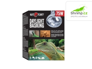 Repti Planet Žárovka Daylight Basking Spot 75W