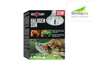 Repti Planet Žárovka Halogen Sun 35W