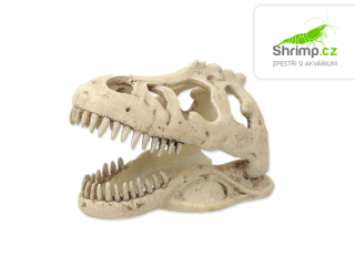 Repti Planet Dekorace T-REX lebka 13,3×8,5×9 cm