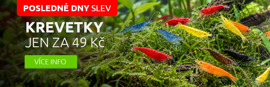 Barevné krevetky, 10 druhů jen za 49 Kč