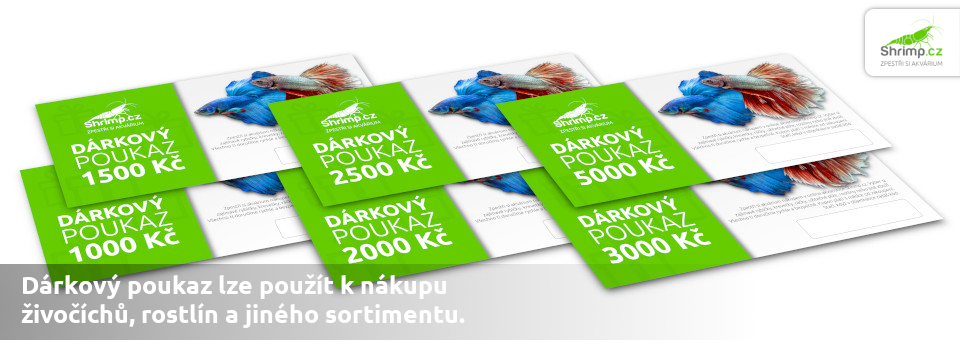 darkove-poukazy-lze-pouzit-na-nakup-ziveho-i-neziveho-sortimentu