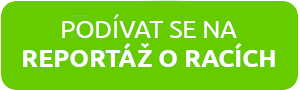reportaz raci