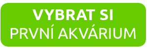 vybrat si první akvárium